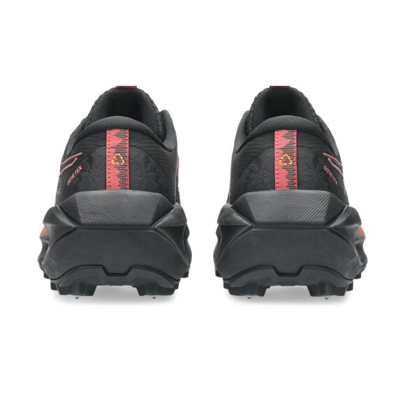 ASICS - W FUJISETSU MAX GTX