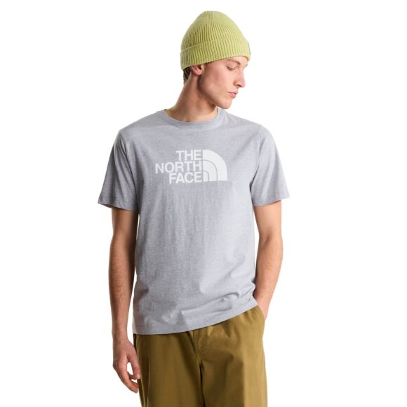 THE NORTH FACE - M EVOLUTION HALF DOME SS