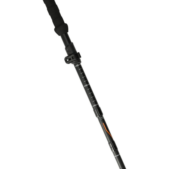 WHISTLER - BECKLEY FOLDABLE TREKKING POLE