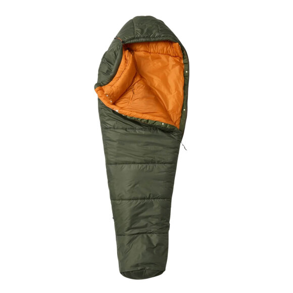 FJALLRAVEN - ABISKO TREE SEASONS