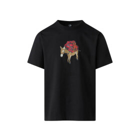 THE NORTH FACE - M DONKEY TAXI RX SS TEE
