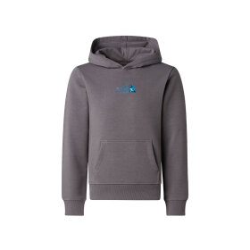 THE NORTH FACE - B LIQUID LOGO REG HOODY