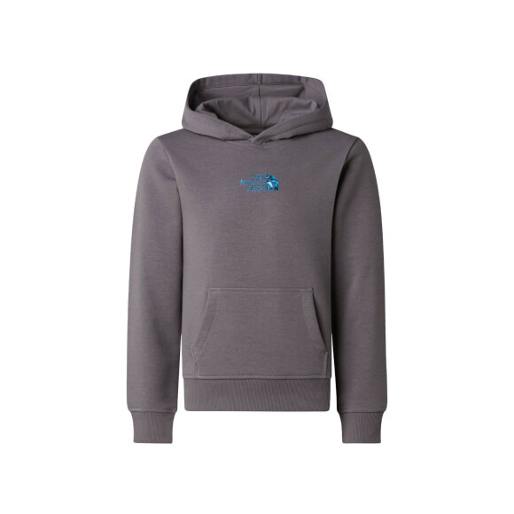 THE NORTH FACE - B LIQUID LOGO REG HOODY