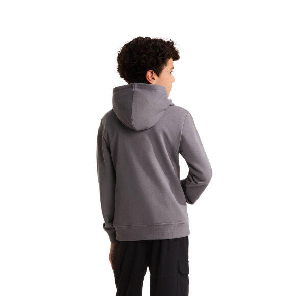 THE NORTH FACE - B LIQUID LOGO REG HOODY
