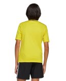 ADIDAS  - Y CAMPEON25 JERSEY