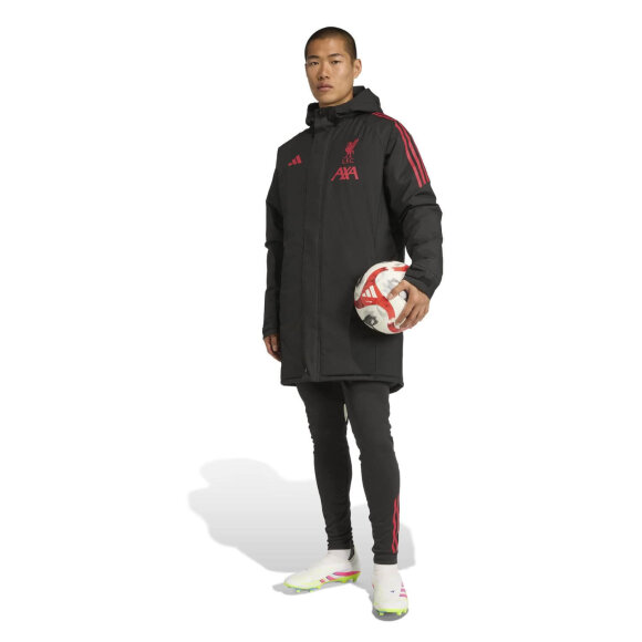 ADIDAS  - M LIVERPOOL FC PARKA