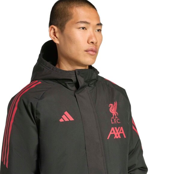 ADIDAS  - M LIVERPOOL FC PARKA