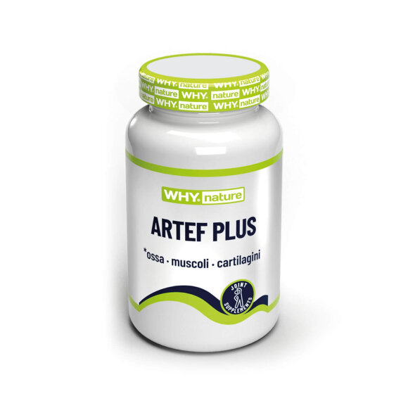 FIT THERAPY - ARTEF PLUS TABLET