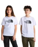 THE NORTH FACE - TEEN EVOLUTION HALF DOME TEE THE NORTH FACE - TEEN EVOLUTION HALF DOME TEE