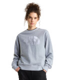 THE NORTH FACE - W ESSENTIAL TERRY SIMPLE CREW THE NORTH FACE - W ESSENTIAL TERRY SIMPLE CREW