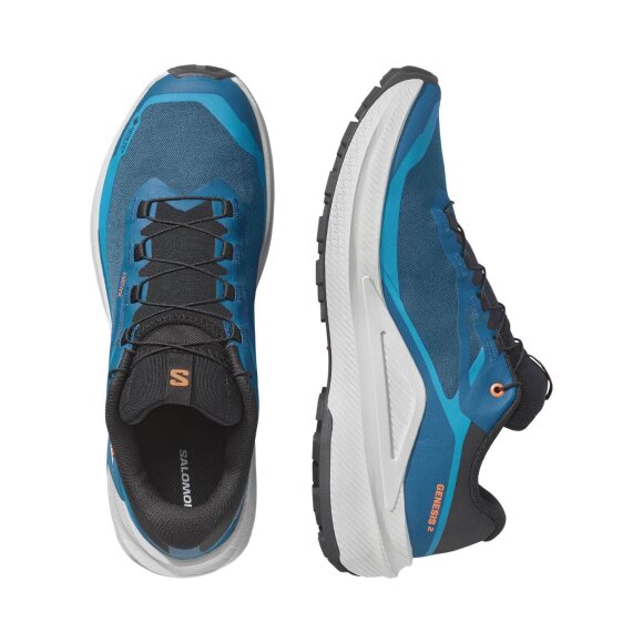SALOMON - M GENESIS 2 GTX