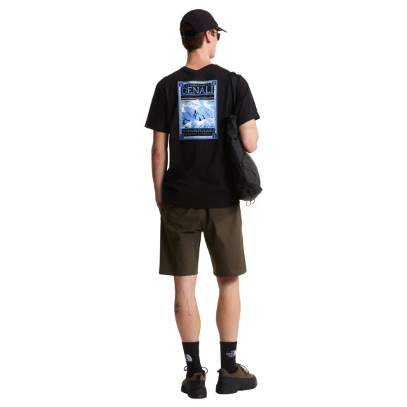 THE NORTH FACE - M NORTH FACES REG SS TEE