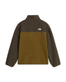 THE NORTH FACE - TEEN YUMIORI 1/4 FLEECE JKT