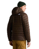 THE NORTH FACE - M CLASSIC DOWN HOODED JKT THE NORTH FACE - M CLASSIC DOWN HOODED JKT